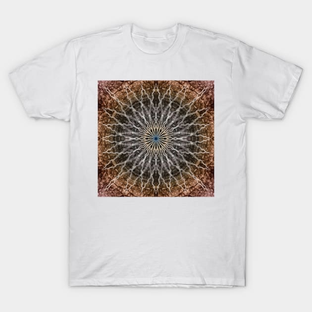 Look Into The Light T-Shirt by becky-titus